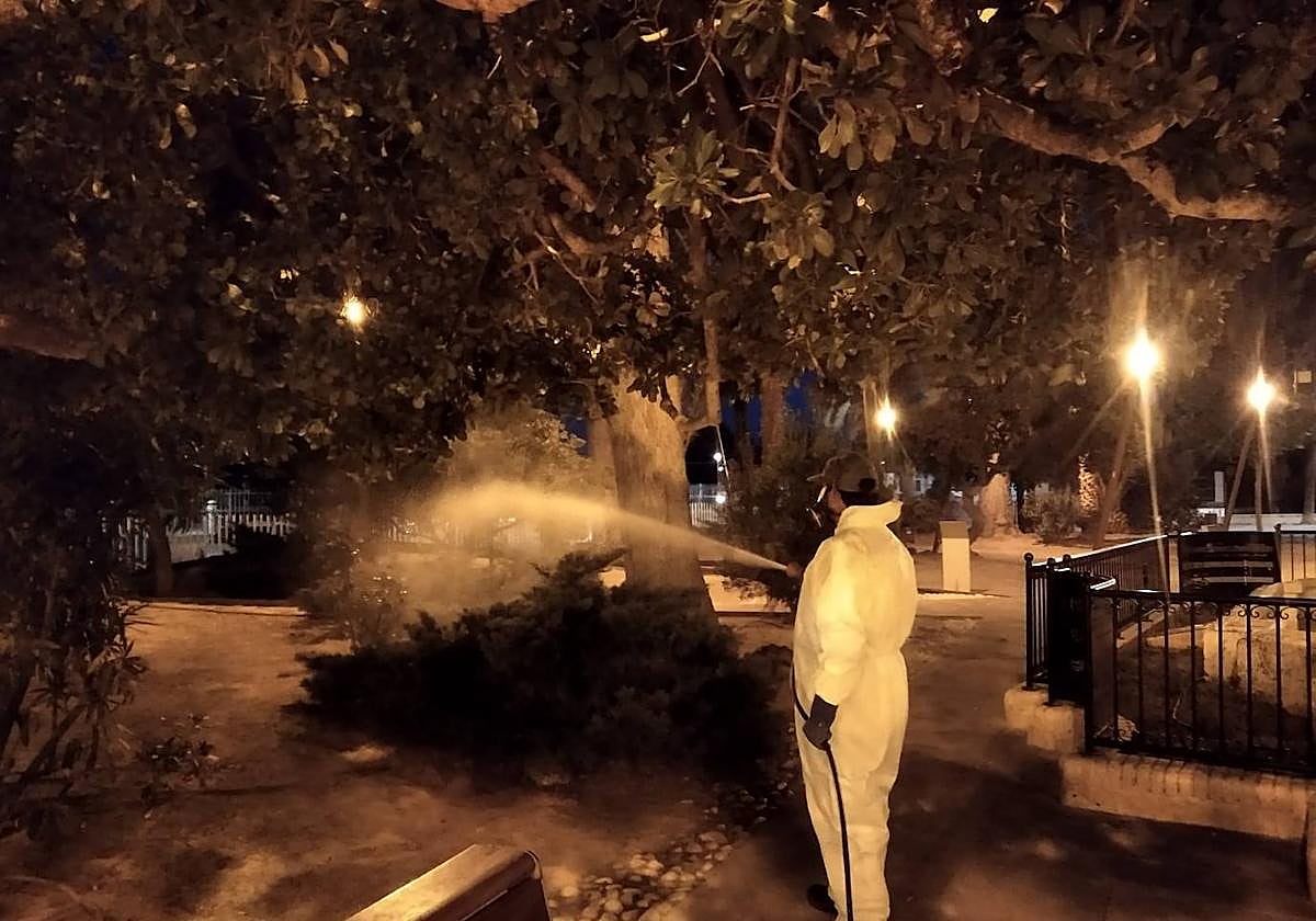 Un operario fumiga los árboles de un parque urbano en Villena.