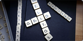 El curso forma parte del programa veraniego Rafael Altamira de la UA.