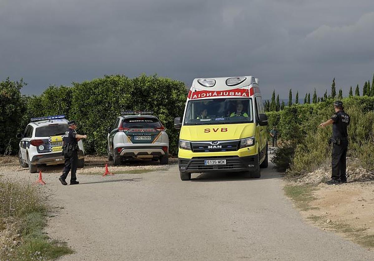 Los servicios de Emergencias de la Generalitat han movilizado un helicóptero medicalizado para trasladar a un centro hospitalario a los heridos.