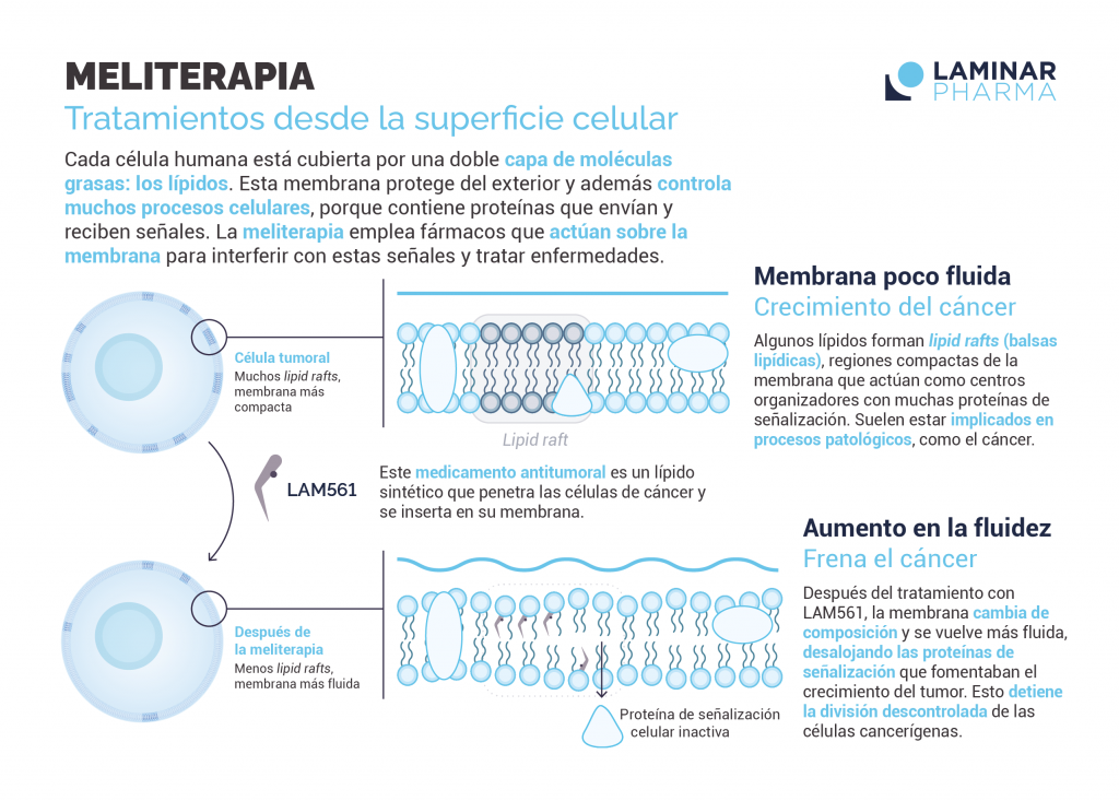 Gráfico informativo elaborado por Laminar Pharma.