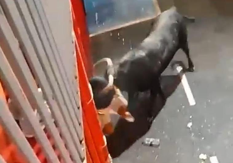 Momento de la terrible cogida.