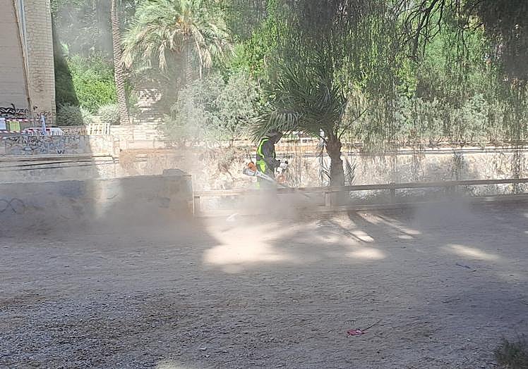 Imagen principal - Tareas de desbroce en la ladera del río Vinalopó. 
