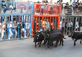 Bous al carrer de Xàbia