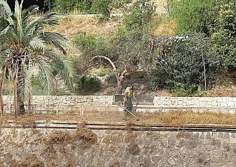 Imagen secundaria 1 - Tareas de desbroce en la ladera del río Vinalopó. 