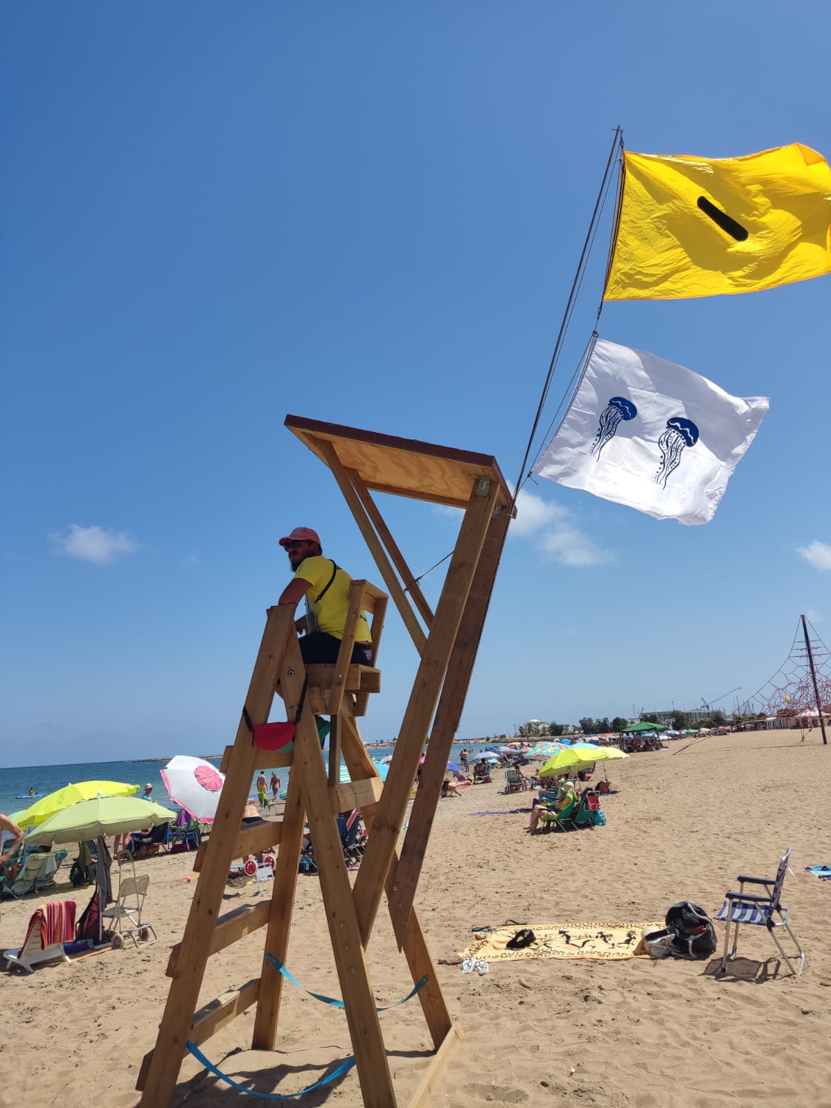 Imagen secundaria 1 - (Abajo) la bandera por presencia de medusas ondea en la playa de Dénia.