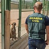 Detenido por estafar a dos propietarios de perros de Aspe y Novelda