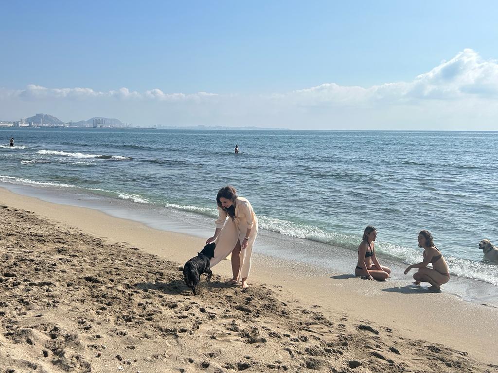 El consistorio alicantino destaca la «gran aceptación» que está teniendo el servicio.