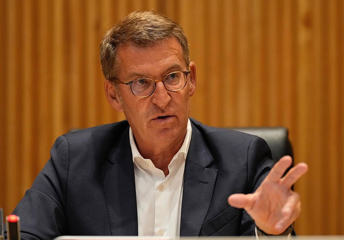 El presidente del Partido Popular, Alberto Núñez Feijóo.