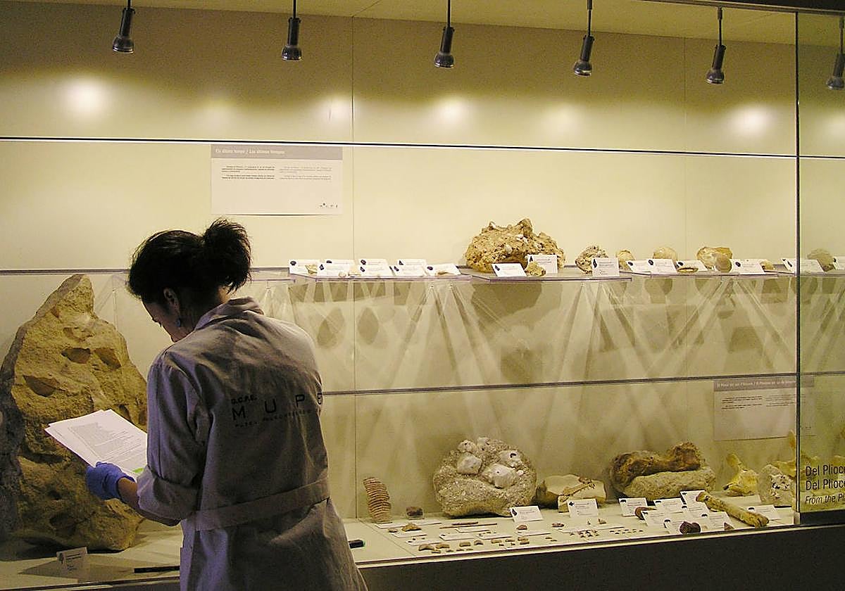 Investigadora en las instalaciones del MUPE.