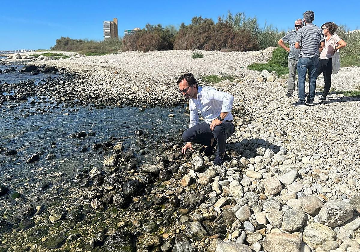 El concejal de Medio Ambiente, Marcos Martínez, ha visitado la desembocadura del Río Seco.