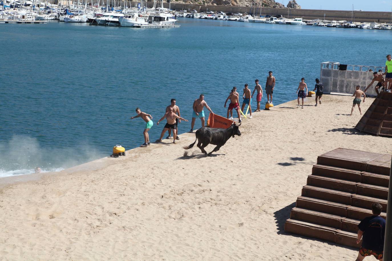 Primer día de Baret y Bous a la Mar en Xàbia