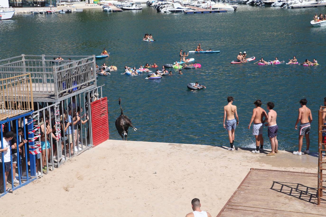 Primer día de Baret y Bous a la Mar en Xàbia