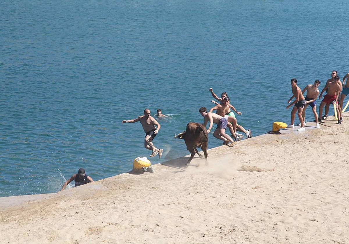 Primer día de Baret y Bous a la Mar en Xàbia