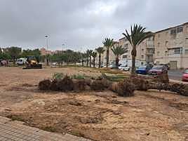 Adecuación de la parcela que acogerá el centro.