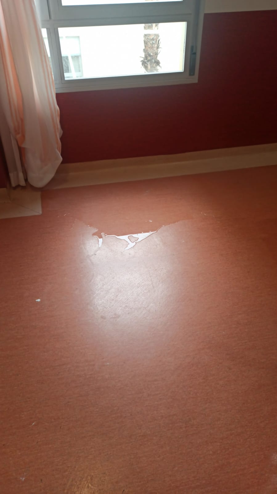 Imagen secundaria 2 - Las filtraciones se han extendido por diversas estancias del centro.