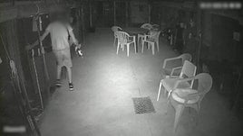 Momento de la sustracción de uno de los gatos.