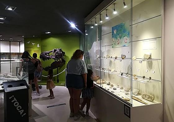 Sala del Museo Paleontológico de Elche.