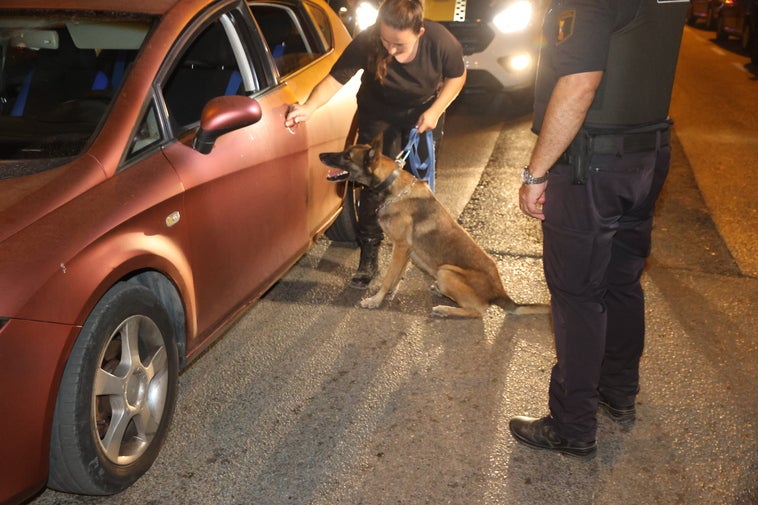 Lobo: el nuevo agente de la ley que patrulla Sant Joan