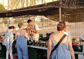 Mercadillo vespertino de Urbanova.