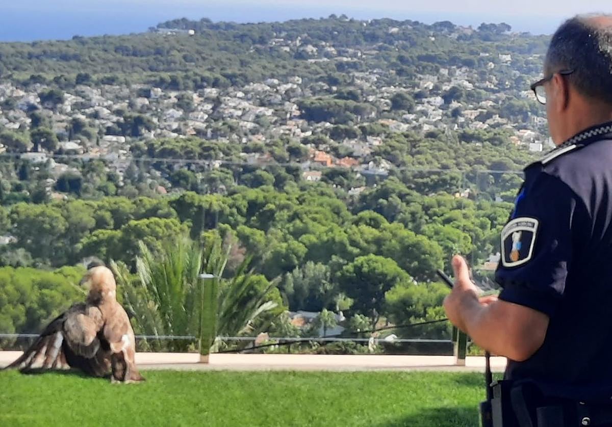 Agentes de la Policía Local durante el rescate.