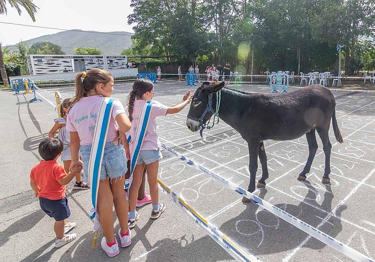 La burra, en el terreno dispuesto para hacer sus cosas.
