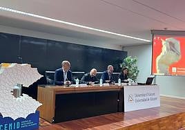 Jornada celebrada en el salón de actos Germán Bernácer de la UA.