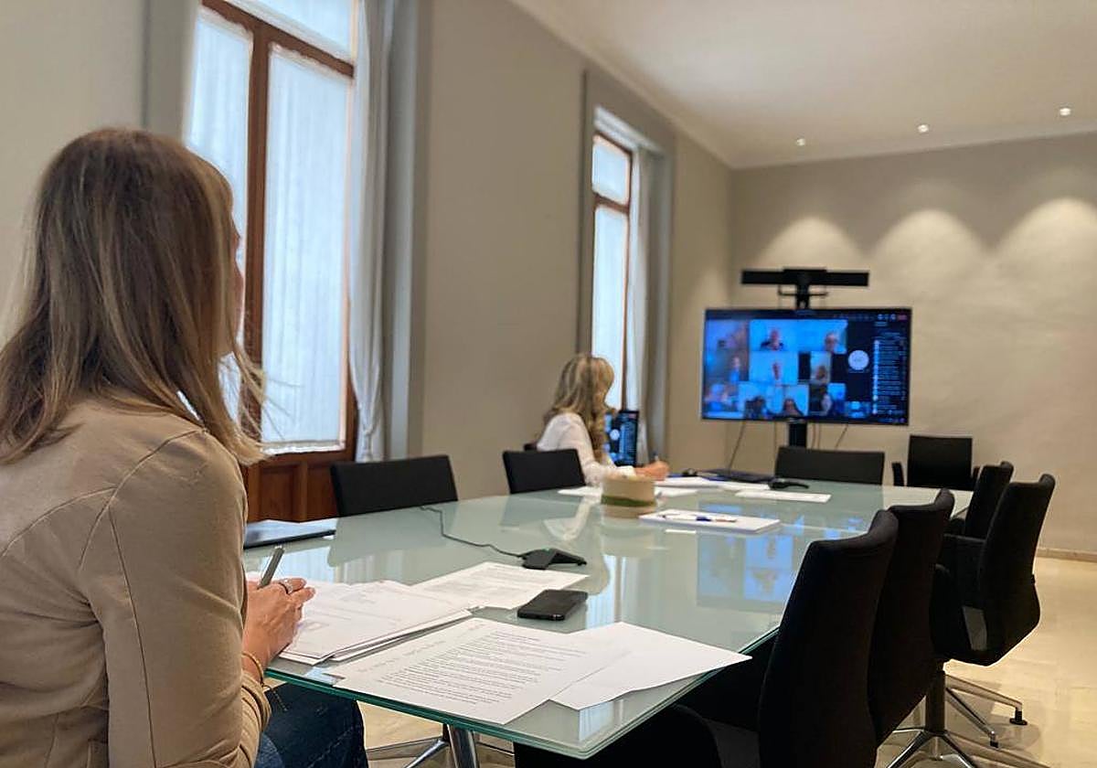 La consellera Nuria Montes durante la videoconferencia de la sociedad de ITV.