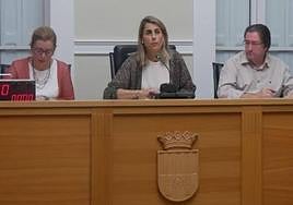 El pleno en el Ayuntamiento de Crevillent.