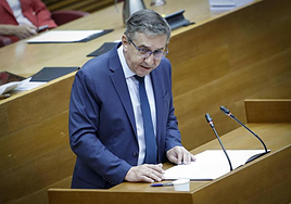 El conseller de Educación, José Antonio Rovira, en una comparecencia.