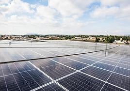 Placas solares instaladas en la empresa Bonnysa