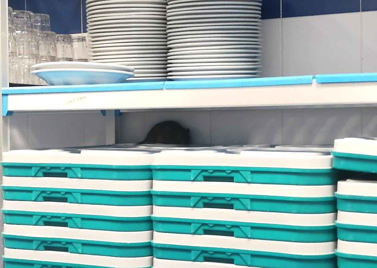 Imagen secundaria 1 - Algunas de las imágenes denunciadas por Recova.