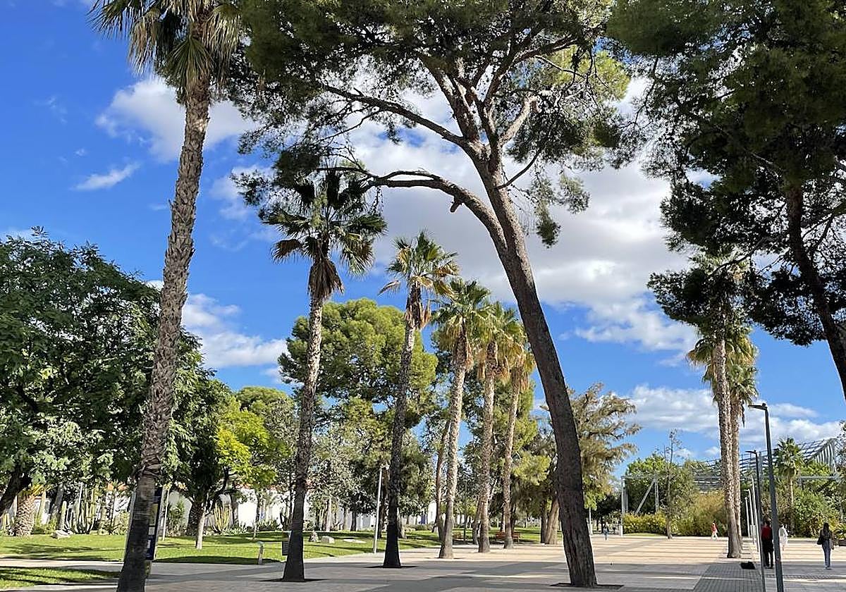 El campus de la UA vive una jornada primaveral en pleno octubre.
