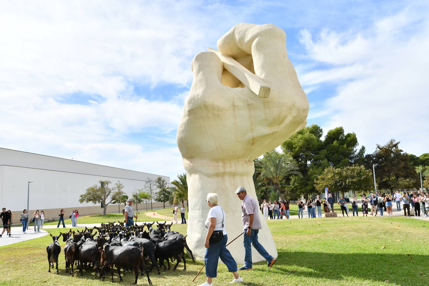 Las ovejas pasean por el campus de la UA