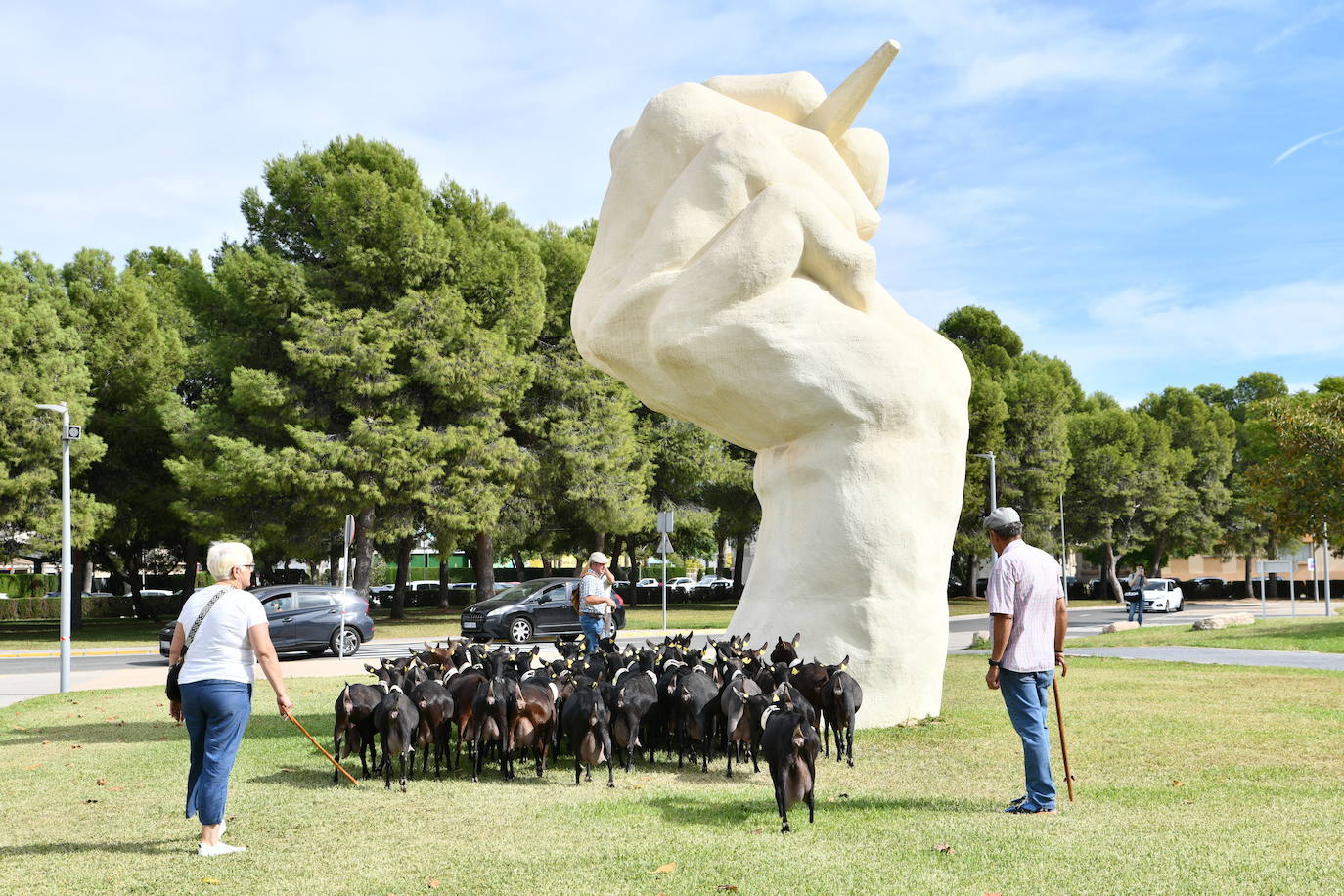 Las ovejas pasean por el campus de la UA