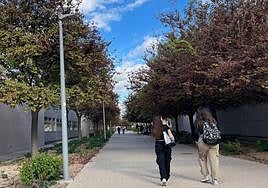 Estudiantes pasean por el campus de la UA.