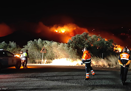 Actuaciones en el incendio forestal de Montitxelvo.