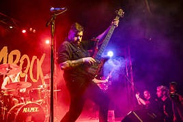 Imágenes del concierto de Mamá Ladilla en Alicante