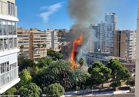 Incendio en el barrio de la Albufereta.