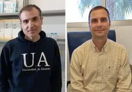 Los investigadores de la UA Fernando T. Maestre y Ángel Berenguer.