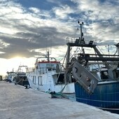 La flota pesquera de La Vila Joiosa se hace a la mar tras un mes de parón biológico
