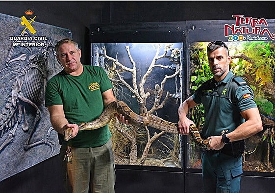 Agentes del Seprona muestran el ejemplar rescatado en Elche