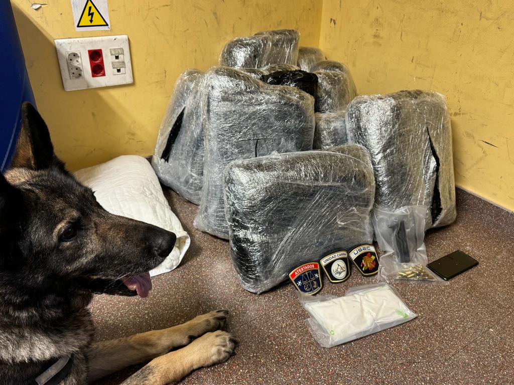 Interceptan otro alijo de 20 kilos de droga en la estación de autobuses de Alicante