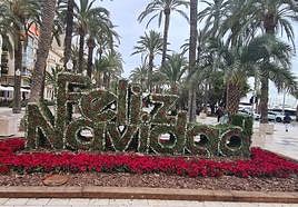 Alicante se tapiza de flores y adornos navideños