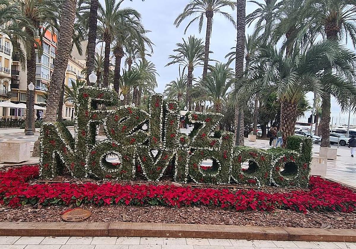 Alicante se tapiza de flores y adornos navideños