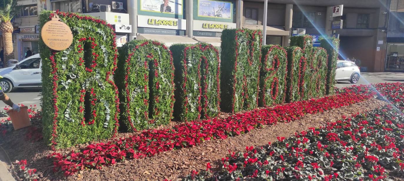 Alicante se tapiza de flores y adornos navideños