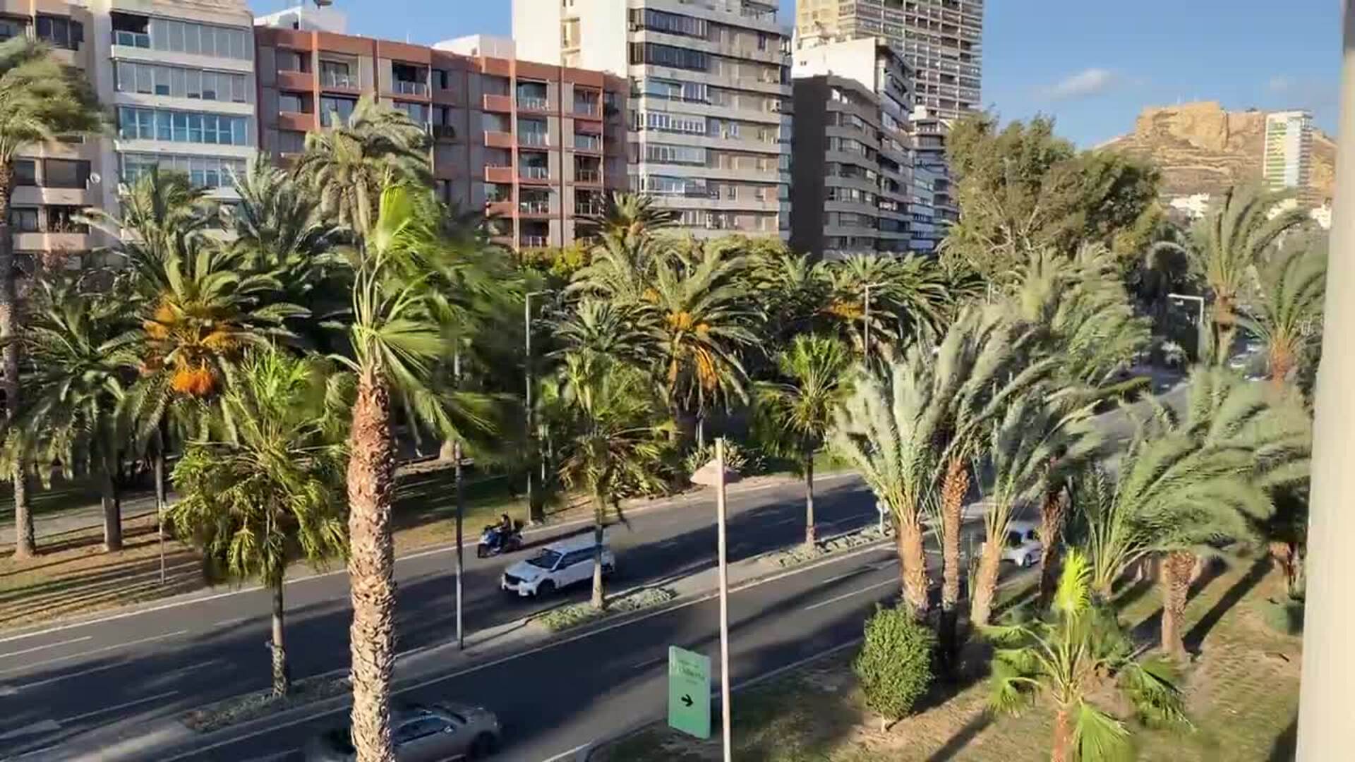 El viento azota el centro de la capital de L'Alacantí 