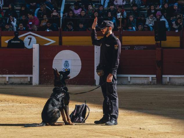 Fotos: Exhibición de medios aéreos, caballería y simulacro de rescate muestran la Policía Nacional