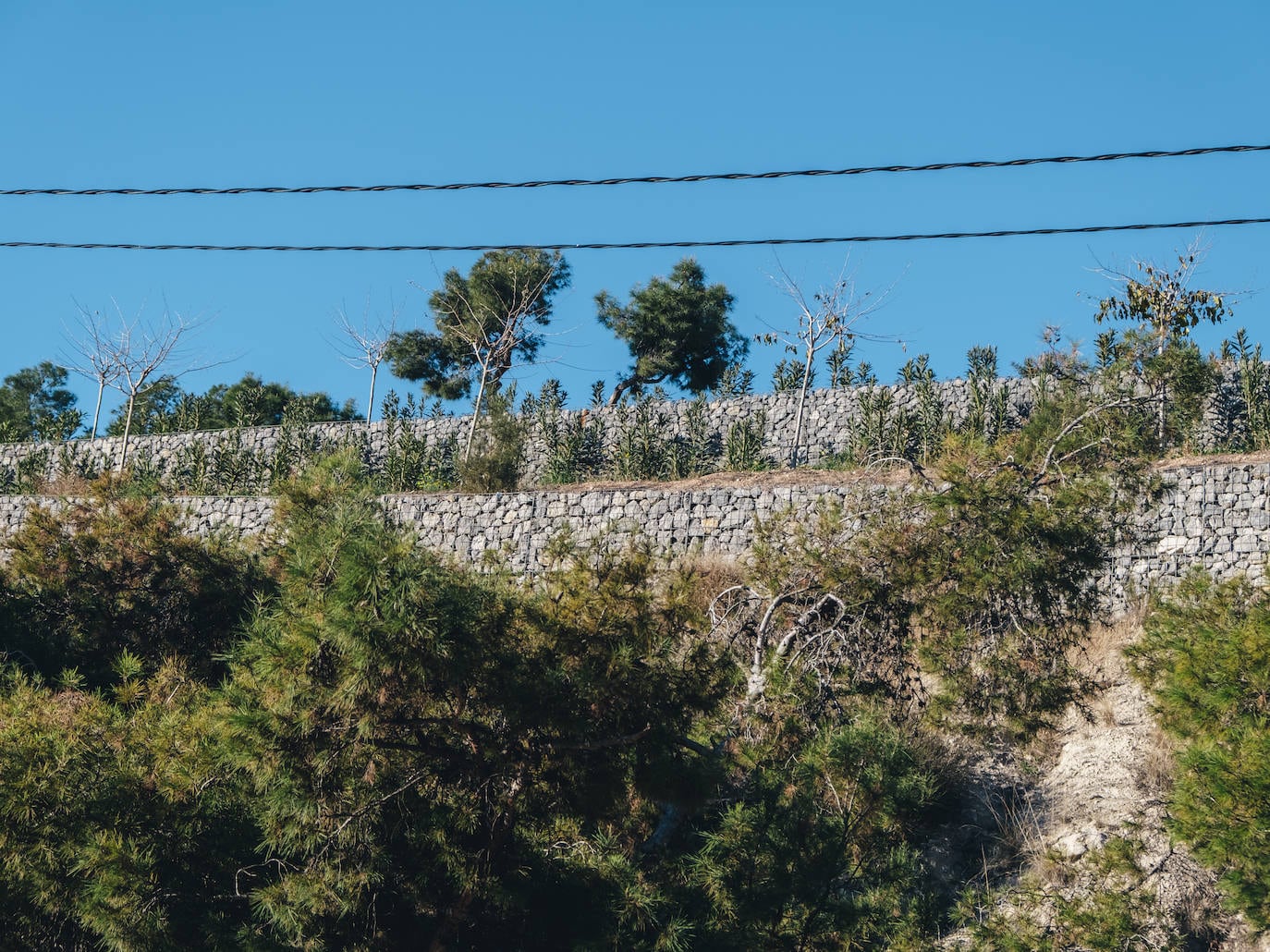 Fotos: Los caminos del monte Tossal