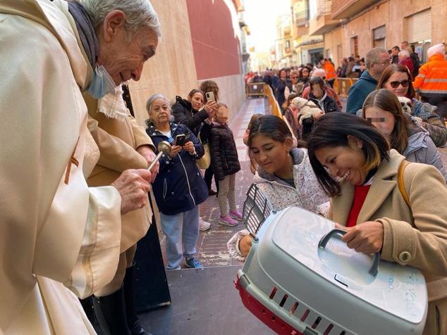 Fotos: El Campello recupera la fiesta de Sant Antoni del Porquet con una alta participación