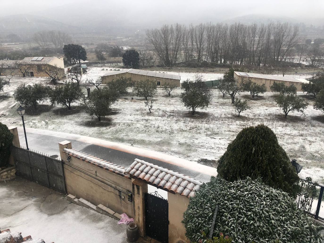 El tiempo en Alicante | La nieve cubre de blanco la provincia de Alicante
